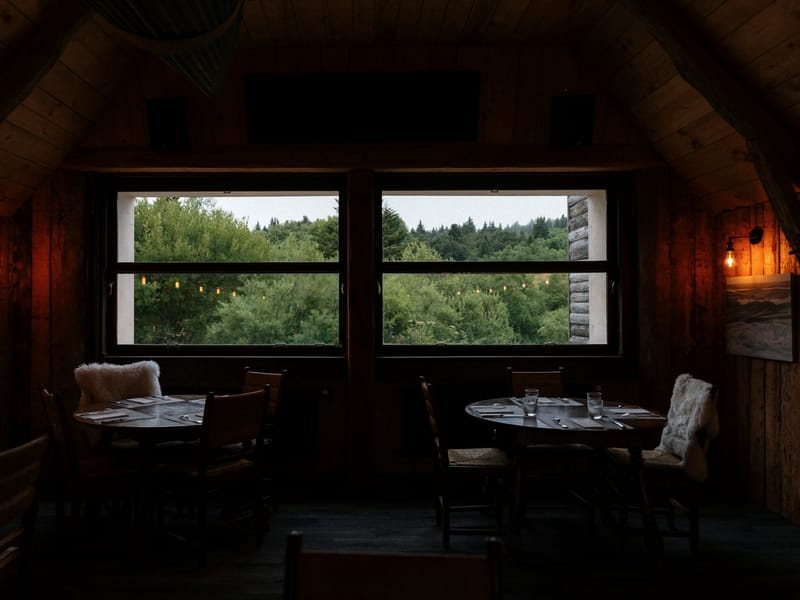 Salle panoramique dressée, ouverte sur la forêt